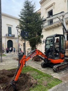 Lecce, un albero di abete per abbellire Piazzetta Panzera. L’assessore Scorrano: “Simbolo di speranza e rinascita dopo gli anni tristi” - Corriere Salentino