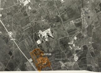 Forestazione urbana nell’area nord di Lecce compromessa dagli impianti di energia rinnovabile: la giunta approva la proposta di delibera