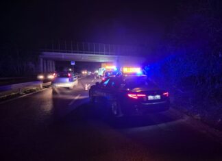 Camion colpisce il ponte sulla statale: danni strutturali, scattano le verifiche