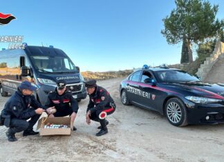Insieme alla droga per lo spaccio tre ordigni esplosivi pericolosi in casa: arrestato