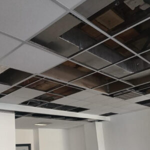 Guardiania e gestione dei servizi igienici h24 alla Lupiae. Stop al vandalismo nella Villa. I mille interventi della partecipata tra strade e scuole - Corriere Salentino