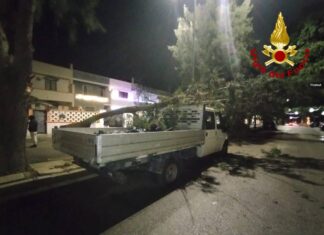 Grosso ramo si spezza e colpisce un furgone, danni al mezzo ma nessun ferito