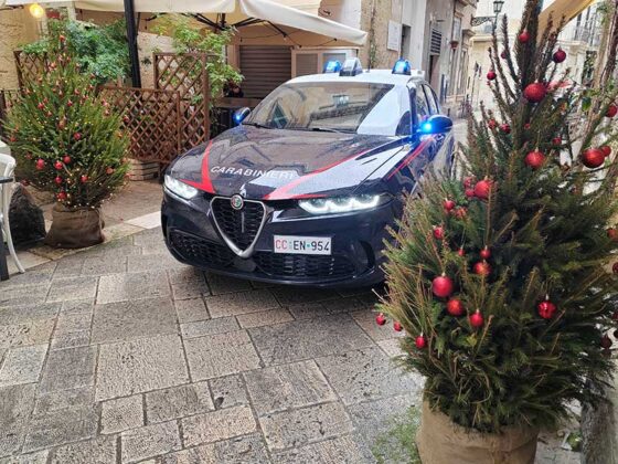 Rubano un albero di Natale in pieno centro, ma vengono subito intercettati dai carabinieri: quattro studenti nei guai - Corriere Salentino