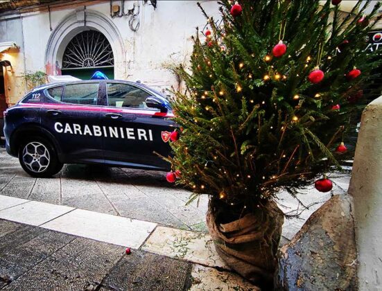 Rubano un albero di Natale in pieno centro, ma vengono subito intercettati dai carabinieri: quattro studenti nei guai - Corriere Salentino