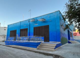 Riapre il Museo di Biologia Marina “Pietro Parenzan” di Porto Cesareo