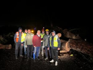 Cade un grosso pino sulla strada Borgo Piave-Frigole: a Lecce ancora problemi con le alberature. Intervento tempestivo della Lupiae - Corriere Salentino