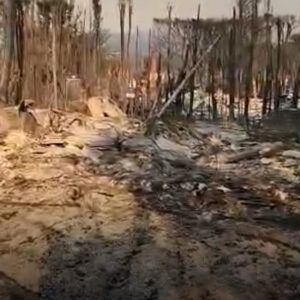 Los Angeles, il sogno americano brucia, “ma c’è stata superficialità”. Il racconto di Christian Cordella concept designer leccese di successo a Hollywood - Corriere Salentino