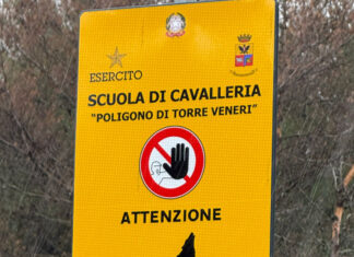 Presto un ufficio unico degli animali a Lecce, con un numero dedicato per le segnalazioni. Intanto è aperta la “caccia ai cacciatori di lupi” con la forestale