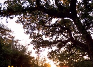 Un inno alla vita, alla fede, a non arrendersi mai: arriva il nuovo libro di Maria De Giovanni