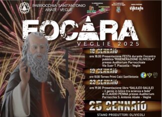 Rigenerazione Olivicola. Sfide e prospettive in un territorio da rilanciare