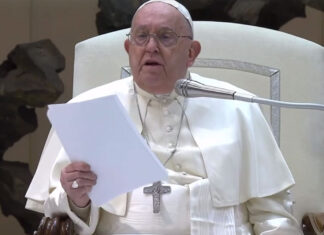 De Maria: «La comunità salentina dei medici e degli odontoiatri esprime il suo dolore per la perdita di un papa che rimarrà nel cuore di tutti»