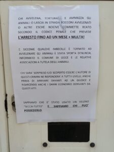 Morire di veleno: la strage silenziosa di cani e gatti a Villa Convento - Corriere Salentino