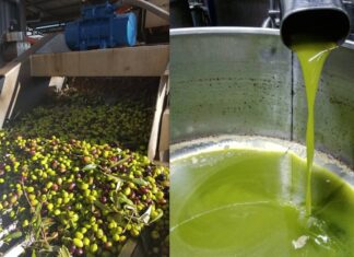 Olio, il Patto Etico plaude alle ultime importanti operazioni antifrode