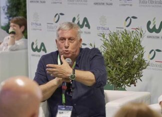 Xylella, Sicolo: “Intesa Regione-Governo, poi nuovo piano con la Ue”