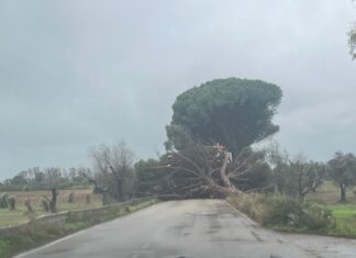 Frigole ancora in emergenza, Rotundo: “Acqua con il contagocce per centinaia di famiglie: qualcuno intervenga”