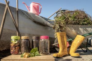 Al via la gestione “comunitaria” della compostiera del Comune di Caprarica - Corriere Salentino