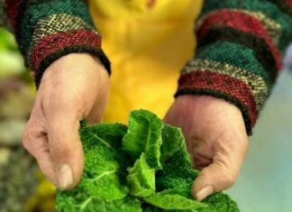 Biodiversità, cibo sostenibile per stili di vita green