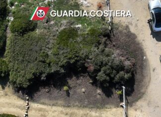 Recinzione abusiva, vegetazione deturpata e bruciata in area protetta: guai per il proprietario