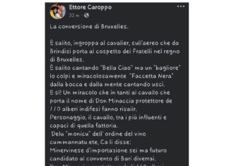Minervino di Lecce, la maggioranza contro Ettore Caroppo, che con un post offende il sindaco: “Dichiarazioni inaccettabili, intervenga l’ANCI”