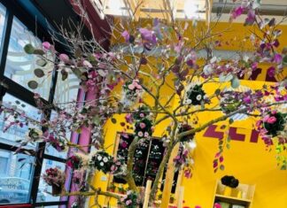Per San Valentino a Lecce l’albero degli innamorati per ‘selfie lovers’