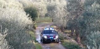 Home - Corriere Salentino