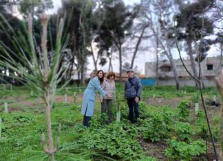 Al via la rigenerazione per la pineta di Montegrappa