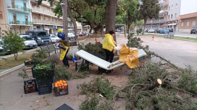 Crolla un albero sul mercatino di Piazza Ludovico Ariosto, sul posto una squadra della Lupiae per intervenire anche su altri pini a rischio crollo - Corriere Salentino