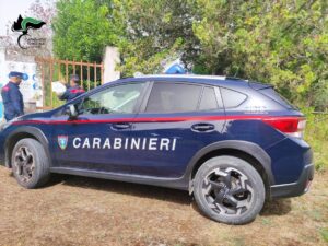 Nascoste tra la vegetazione spuntano cinque casette abusive: ennesimo sequestro nel Salento - Corriere Salentino
