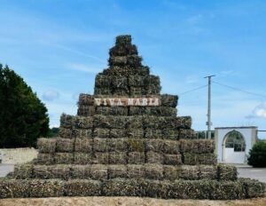 Cannole in festa: il restauro della Madonna di Costantinopoli restituisce alla comunità un capolavoro di fede e arte - Corriere Salentino