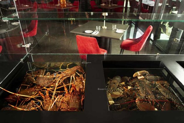 Il Salento conquista gli USA: Classé Restaurant porta il turismo del lusso americano a Lecce - Corriere Salentino