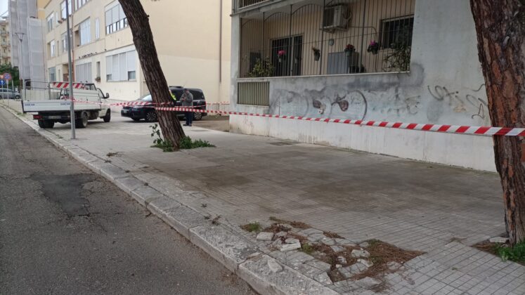 Crolla un albero sul mercatino di Piazza Ludovico Ariosto, sul posto una squadra della Lupiae per intervenire anche su altri pini a rischio crollo - Corriere Salentino