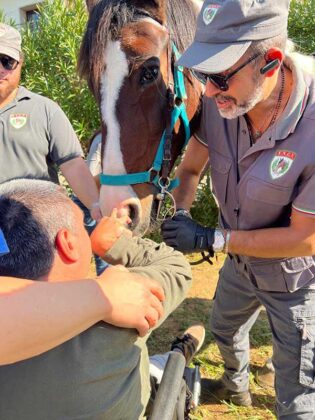 Da te a cavallo: le Giubbe Verdi Salento promuovono l’inclusione e la sostenibilità attraverso l’equitazione - Corriere Salentino