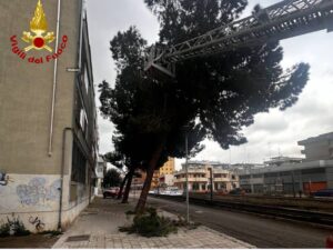 Forti raffiche di vento sul Salento: danni e disagi in tutta la provincia - Corriere Salentino