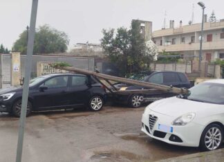 Lo Scirocco non dà tregua: palo telefonico si abbatte su tre auto. Miracolati madre e figlio: tragedia sfiorata nei pressi della scuola