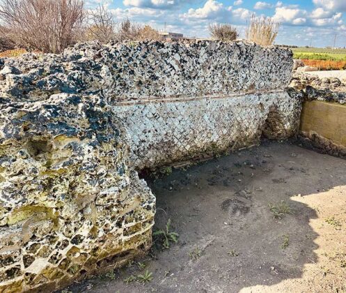 Nuova vita per i cocci di terracotta: Unisalento per l’economia circolare - Corriere Salentino