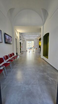 Woom Italia Lecce: un trampolino per il futuro dei giovani - Corriere Salentino