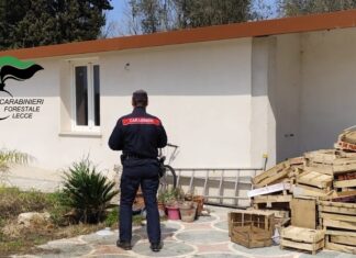 Costruzioni abusive in area vincolata a ridosso del Canale dell’Asso, scattano sequestro e denuncia