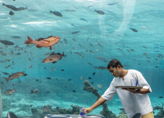 Tutto pronto per la seconda rassegna di “Fase” (Festival di arti visive a Sud Est