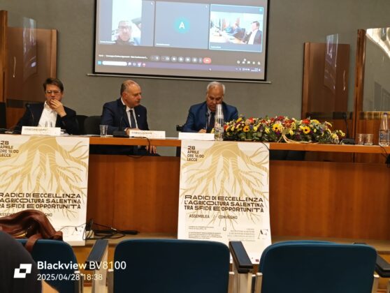 Firmato Protocollo d'Intesa tra ODAF Lecce e Camera di Commercio: una nuova alleanza per l'agricoltura salentina - Corriere Salentino