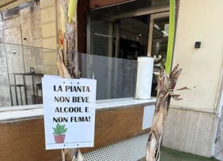 “Verba volant, scripta manent”