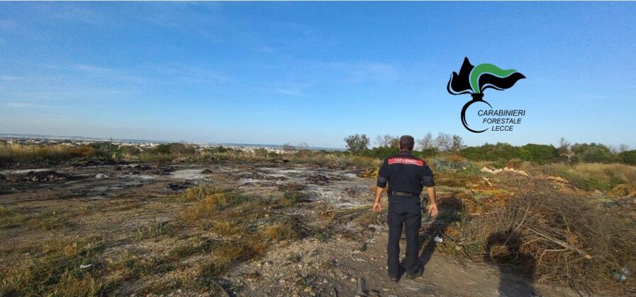 Alliste, scaricano rifiuti e amianto nelle campagne: denunciati trasportatore e conduttore del terreno - Corriere Salentino