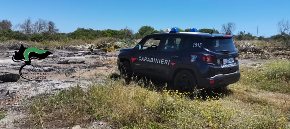 Alliste, scaricano rifiuti e amianto nelle campagne: denunciati trasportatore e conduttore del terreno - Corriere Salentino