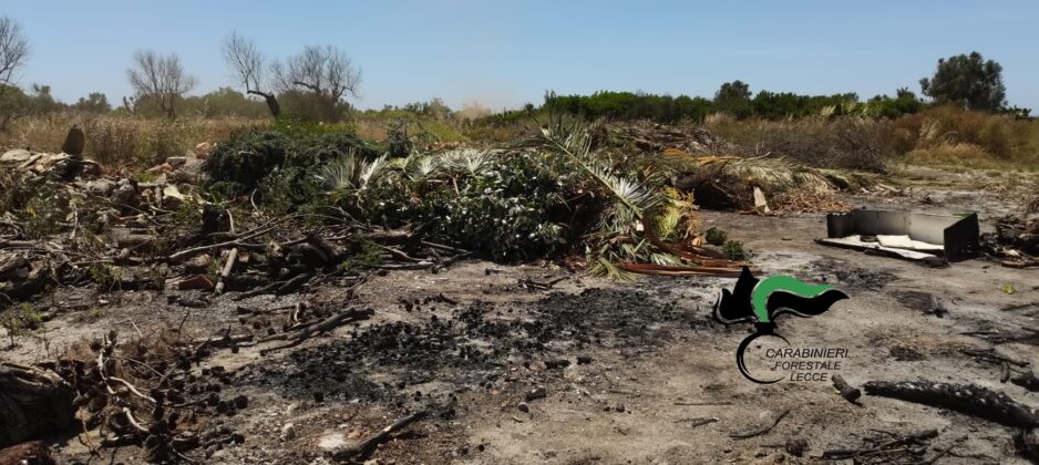 Alliste, scaricano rifiuti e amianto nelle campagne: denunciati trasportatore e conduttore del terreno - Corriere Salentino