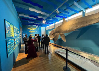 In visita all’Area Marina Protetta Porto Cesareo una delegazione di rappresentanti istituzionali di Bassa Casamance – Senegal