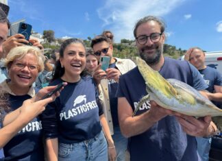 A Castro tornano in mare quattro tartarughe salvate da Plastic Free Onlus