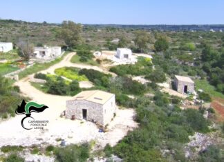 Abusi edilizi, sequestrati due cantieri e denunciate dieci persone a Salve