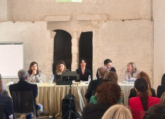 Verso linee guida per il sistema integrato dei servizi educativi a tutela della persona minore di età