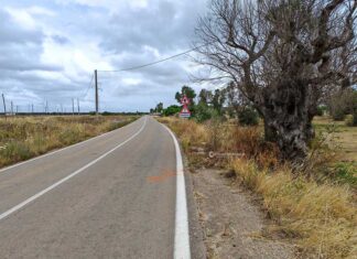Tragico schianto nella notte tra Surbo e Torre Rinalda: perde la vita un 23enne di Trepuzzi