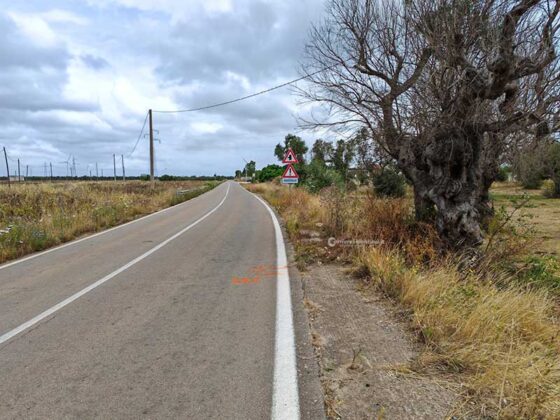 Tragico schianto nella notte tra Surbo e Torre Rinalda: perde la vita un 23enne di Trepuzzi - Corriere Salentino