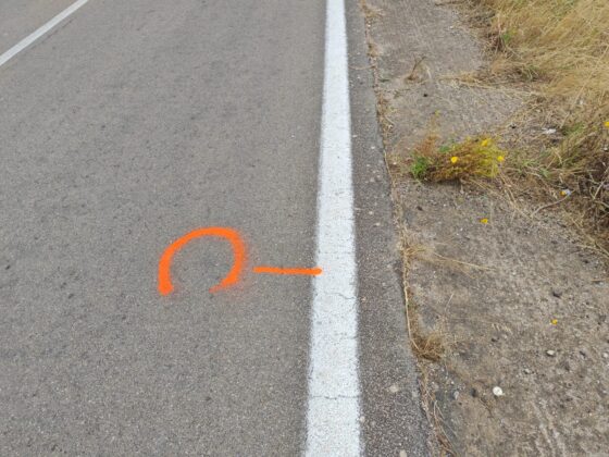 Tragico schianto nella notte tra Surbo e Torre Rinalda: perde la vita un 23enne di Trepuzzi - Corriere Salentino